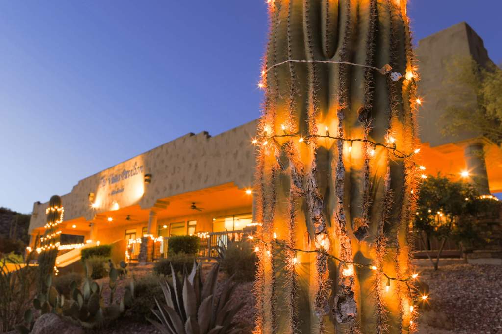 The Vistas Pavilion and cactus