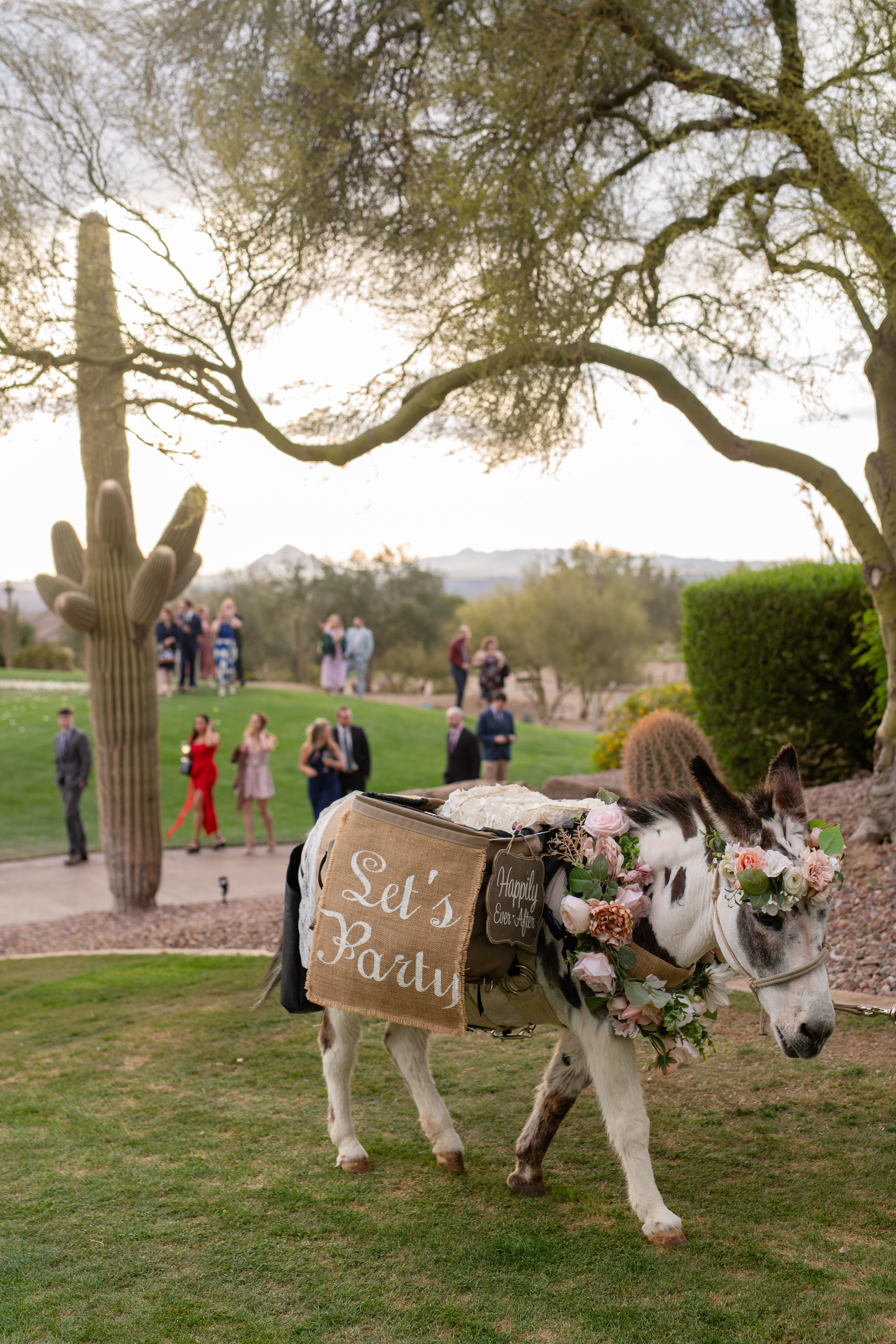 Weddings at The Vistas Pavilion at Las Sendas