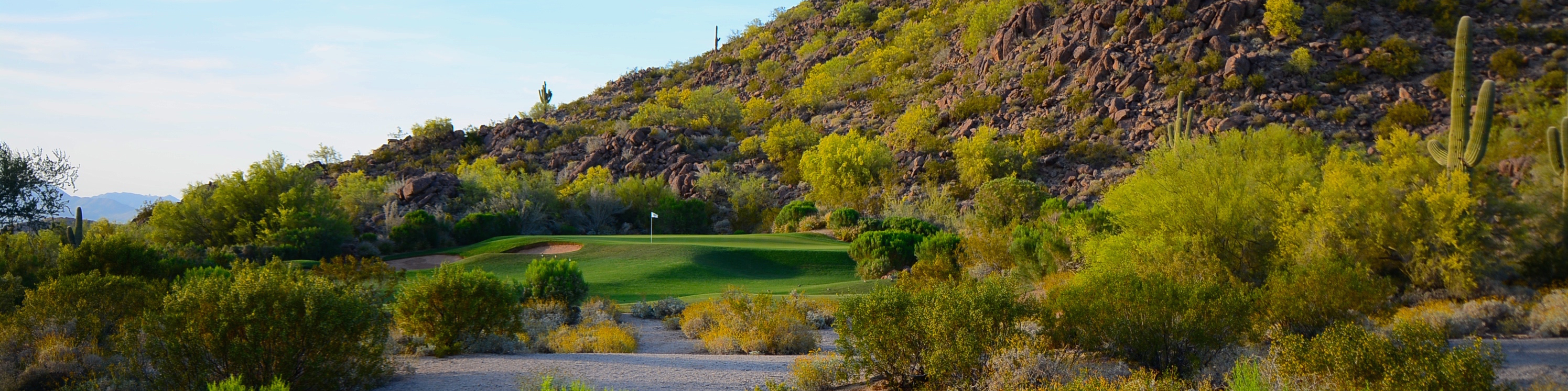 Image of golf ball on tee on grass.